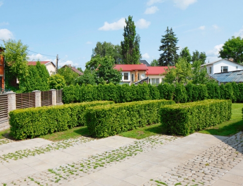 Garden in Salaspils